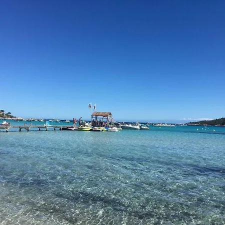 Cedra * Porto Vecchio